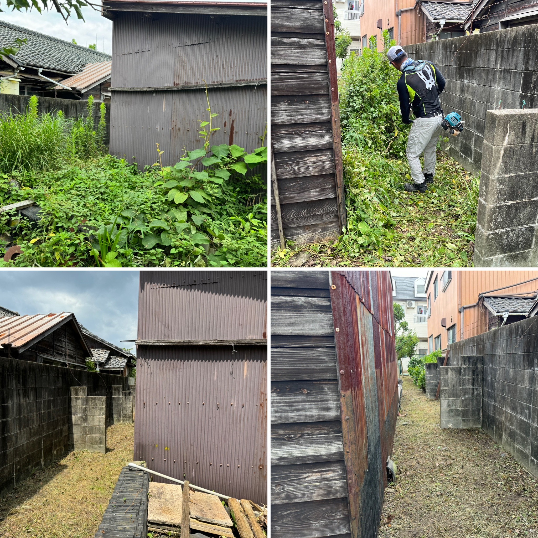 画像の説明