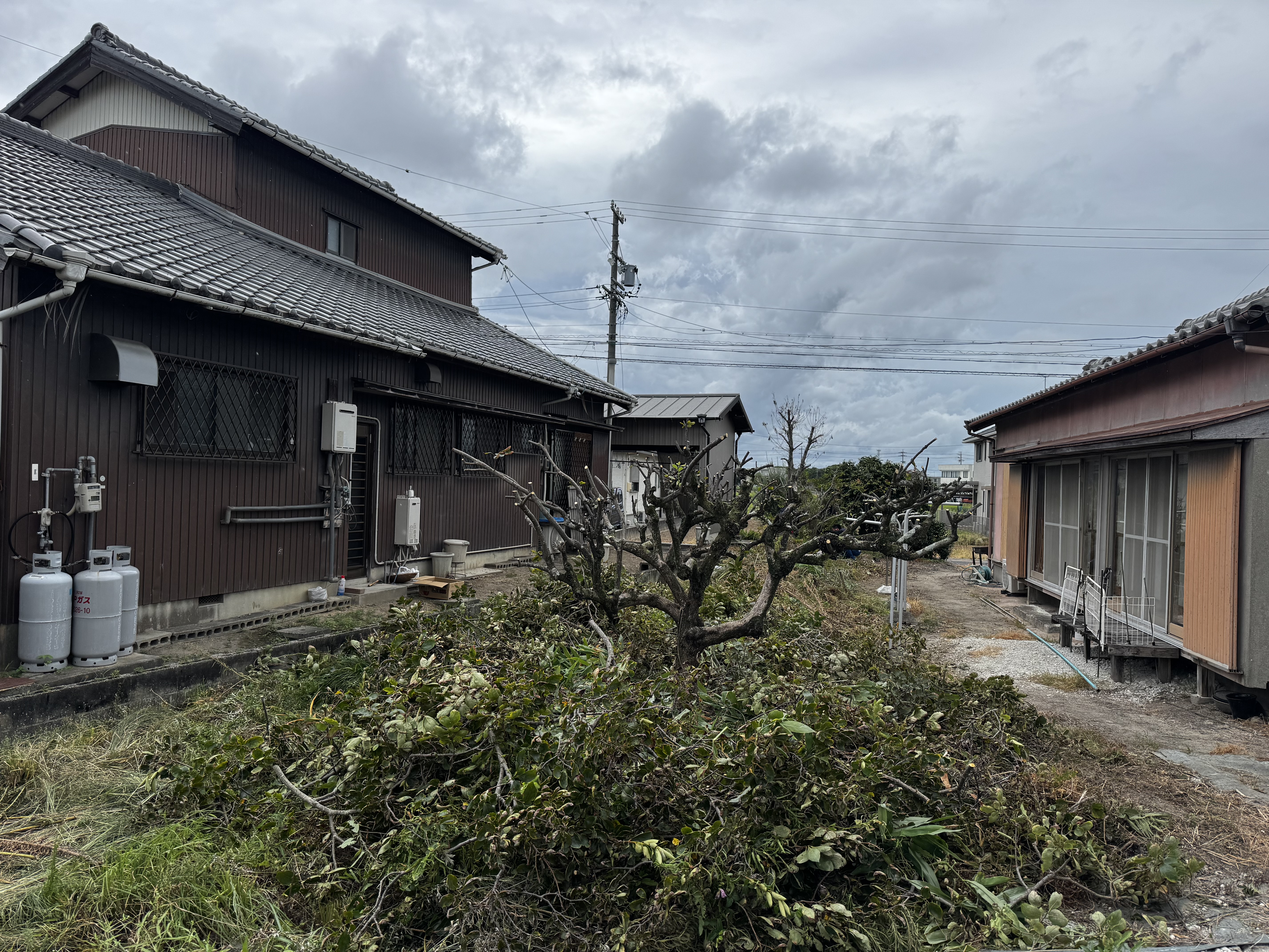 画像の説明